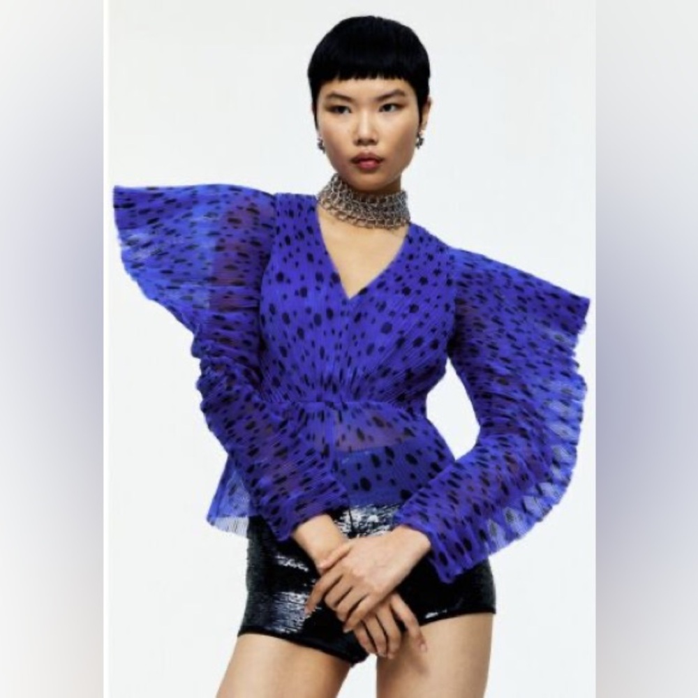 H&M Circular Design Pleated Organza Blouse